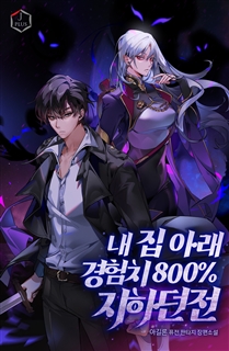 내 집 아래 경험치 800% 지하던전