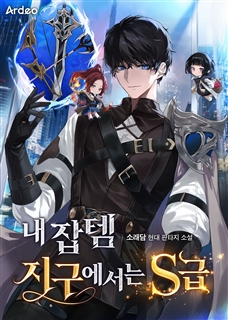 내 잡템 지구에서는 S급